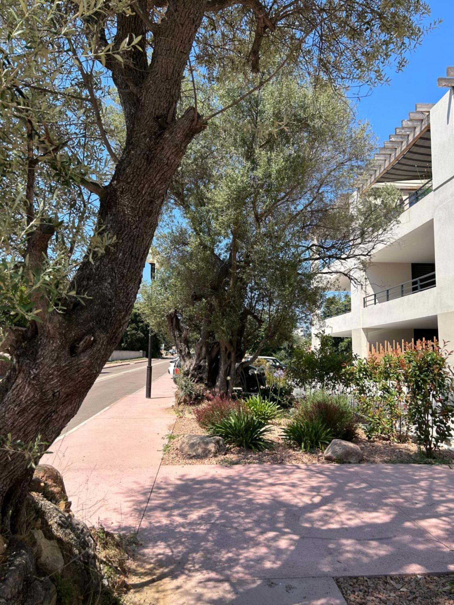 Sognu Di Serena - Superbe Appartement Avec Parking Gratuit Sur Place Порто-Веккьо Экстерьер фото